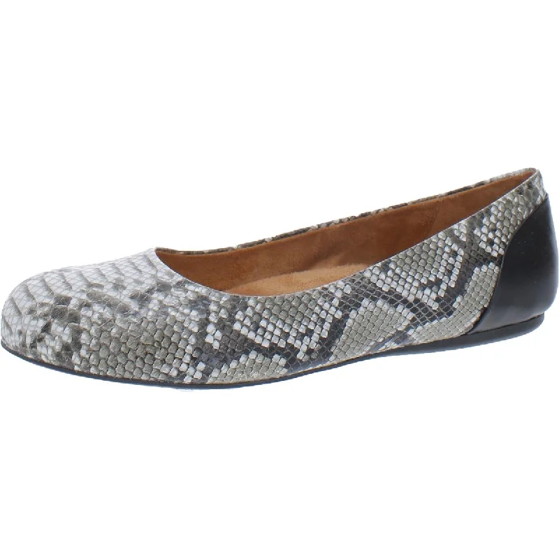 Black Grey Reptile